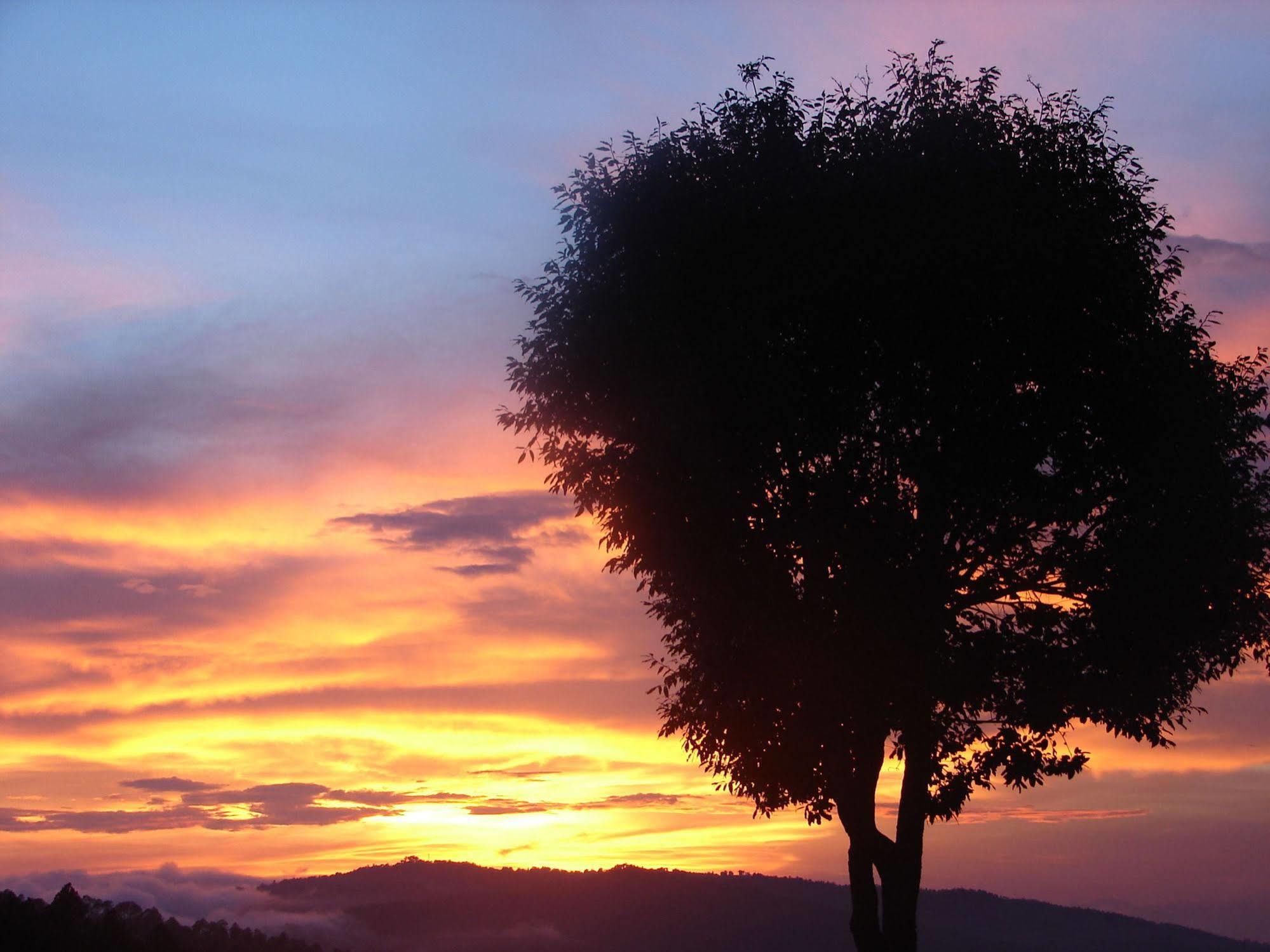 Blusalzz Escapade Anant Rasa Resort - Ranikhet Shitlakhet Esterno foto